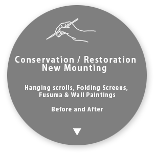 Conservation